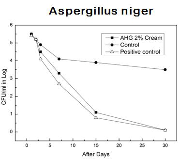 Aspergillus niger 방부력 테스트
