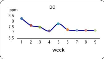 Weekly changes of DO in the zero water exchange AIR BFT system during growing of rainbow trout Oncorhynchus mykiss.