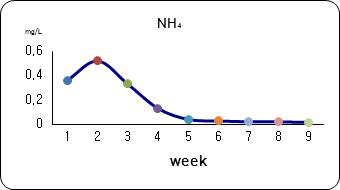 Weekly changes of ammonia nitrogen in the zero water exchange AIR BFT system during growing of rainbow trout, Oncorhynchus mykiss.