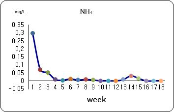 Weekly changes of ammonia nitrogen in zero water exchange AIR BFT aquaculture system during growing of black sea bream, Acanthopagrus schlegelii.