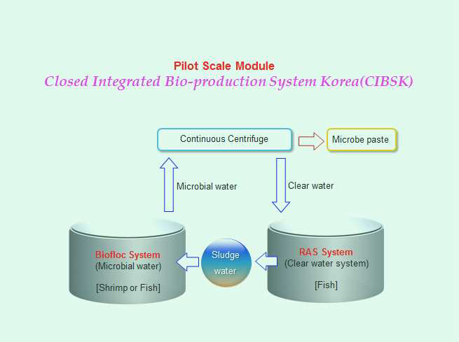 CIBS 모식도(1).