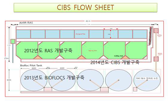 CIBS 모식도(2).