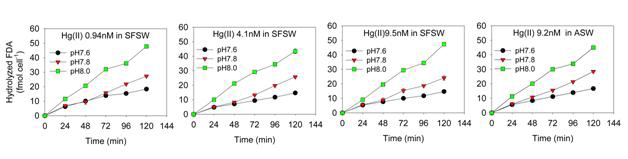 각 pH 조건에서 무기수은의 농도별 hydrolyzed FDA 농도