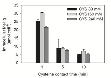 0.8, 8, 80 mM cycteine을 각각 1분과 10분 동안 세척한 후 T. weissflogii 세포질내 유기수은 농도. T. weissflogii는 pH 8.1에서 10 nM의 유기수은에 1시간 동안 노출