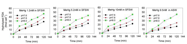 각 pH 조건에서 유기수은의 농도별 hydrolyzed FDA 농도