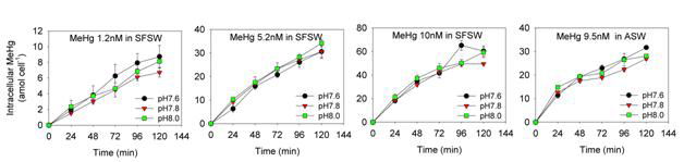 각 pH 조건에서 유기수은의 농도별 세포질 내 유기수은 농도