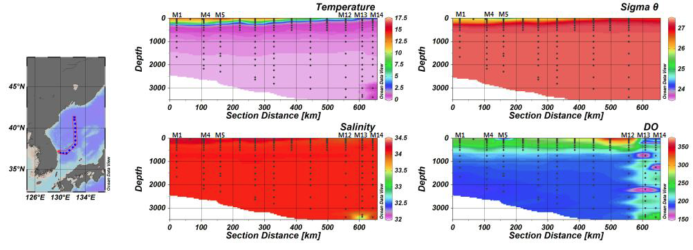 수온, 밀도, 염분, 용존산소(DO)의 Ocean Data View
