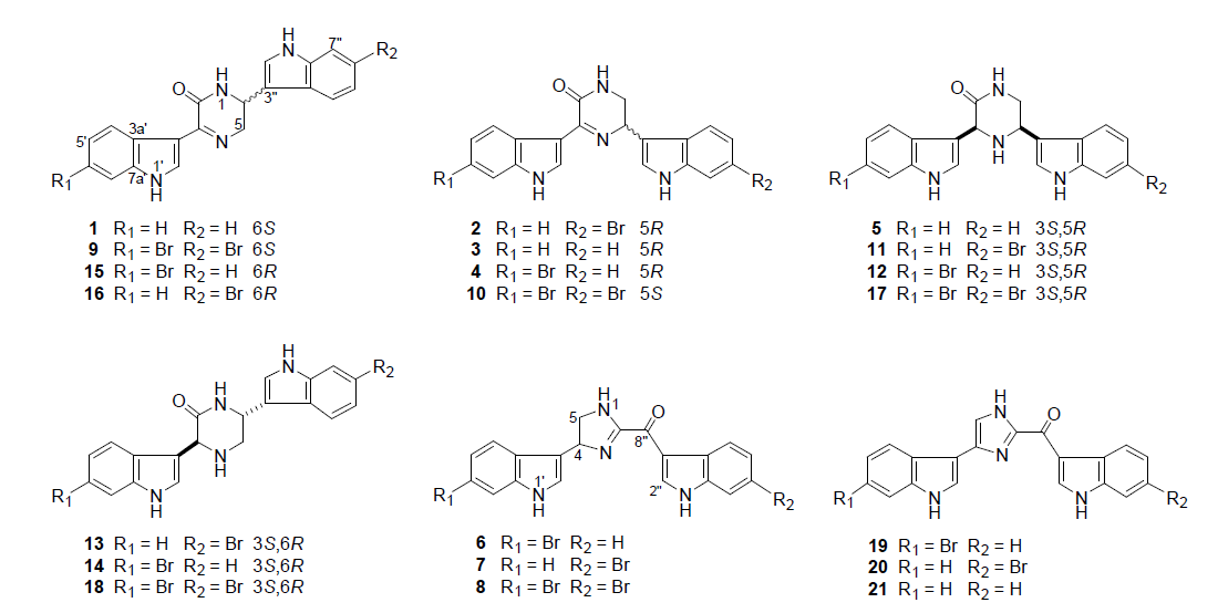 Spongosorites sp.로부터 얻어진 bisindole alkaloids topsentin과 hamacanthin 유도체