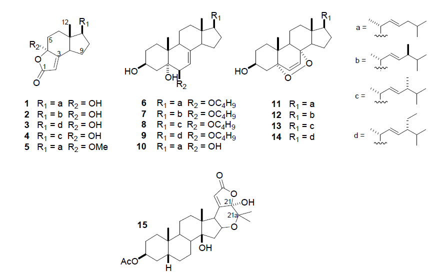 Isolated compounds (1-14) and a reference compound (15).