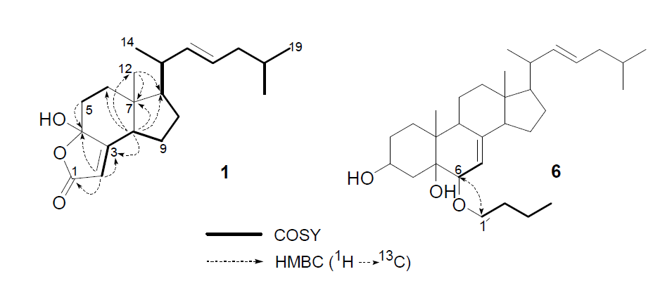 Key COSY and HMBC correlations of compounds 1 and 6