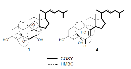 Key COSY and HMBC correlations of compounds 1 and 4