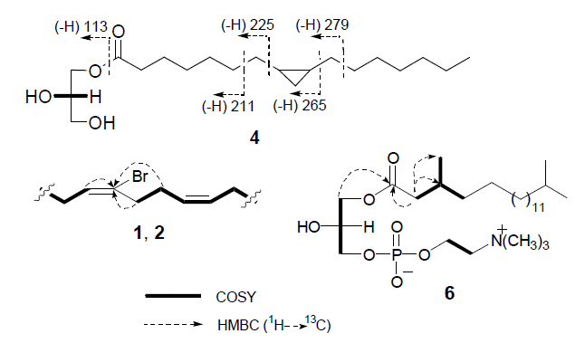 Key COSY and HMBC correlations of compounds 1, 2, and 6