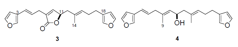 Structures of compounds 3 and 4.