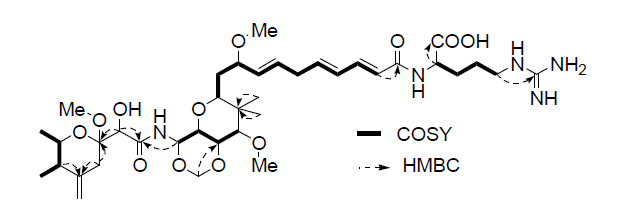 Key COSY and HMBC correlations for compound 1