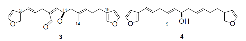 Structures of compounds 3 and 4.
