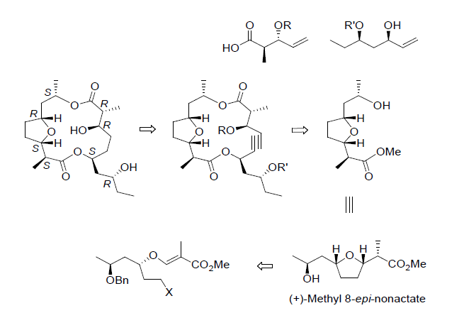 Scheme 1. Feigricolide 의 retro synthesis