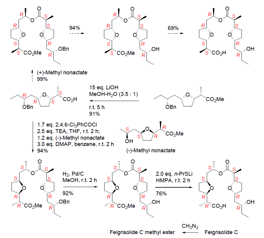Scheme 12. Feigricolide의 전합성 (11)
