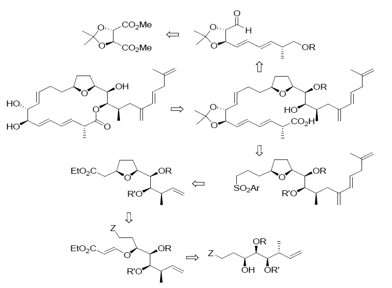 Scheme 1. retro-synthesis of the amphidinolide E