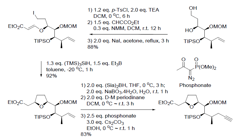 Scheme 4. amphidinolide E synthesis