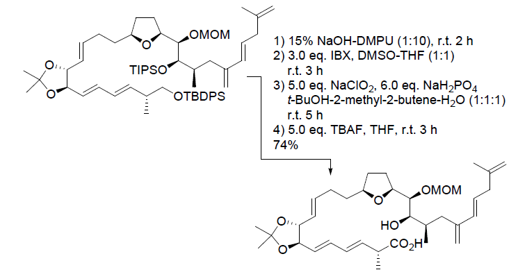Scheme 6. amphidinolide E synthesis