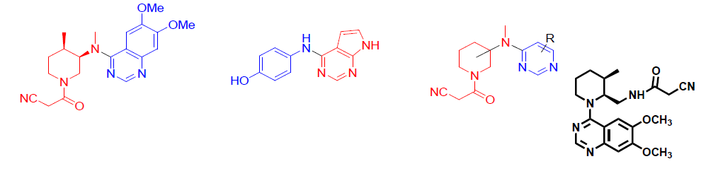 CP-650,550과 여러 JAK3 inhibitor 화합물