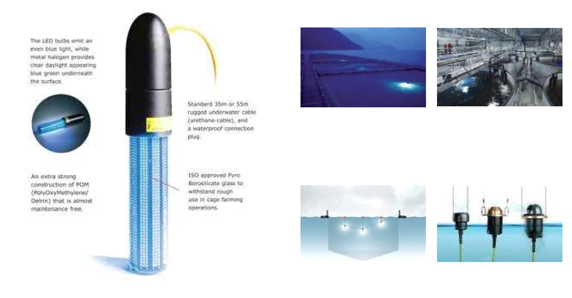 AKVAgroup 회사의 BlueLED 제품의 설명과 양어 수조에 설치된 현장사진
