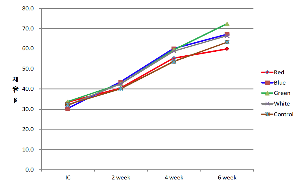 광파장 자극에 따른 돌돔의 성장 변화