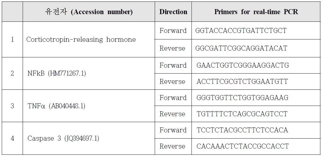 real-time PCR에 사용한 primer