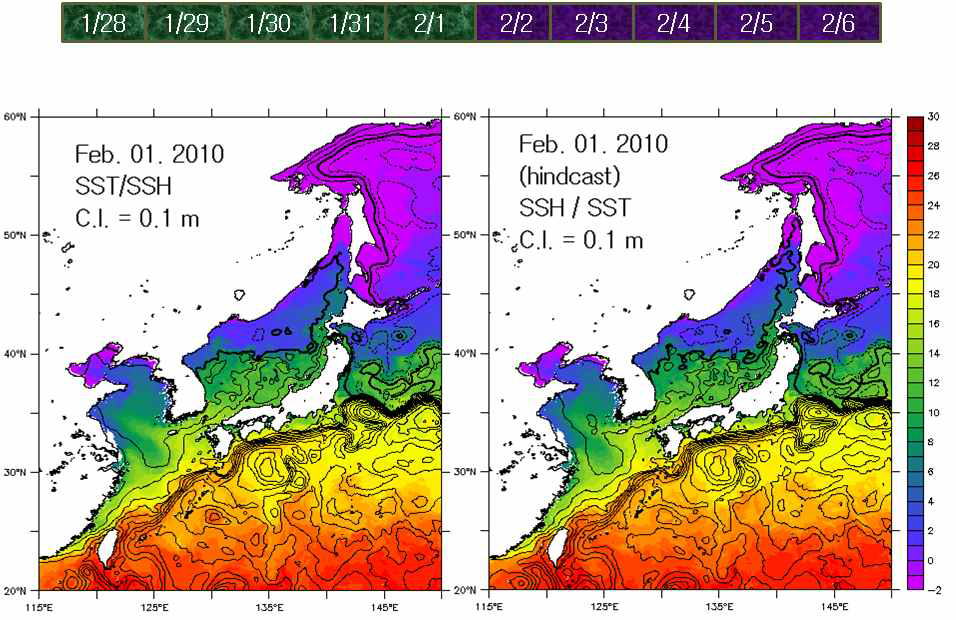 2010년 2월 1일 해표면 수온 및 해수면 예 (좌 : 예측치, 우 : 분석치)