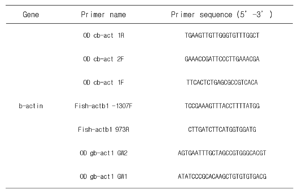 β-actin 유전자 클로닝에 사용한 primer list