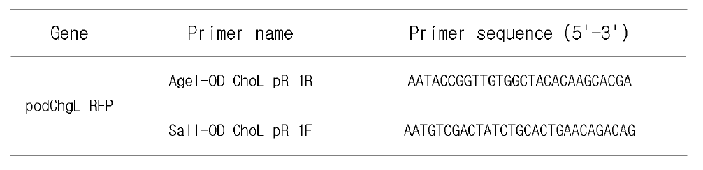 podChgL-1,2 발현벡터 구축의 프로모터 PCR 증폭 시 사용한 primer