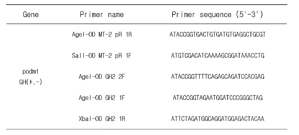 podMTGH(+ - ) 발현벡터 구축의 프로모터 PCR 증폭 시 사 용 한 primer