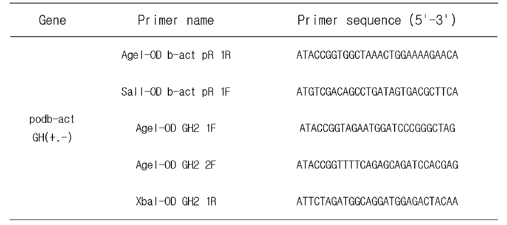 podb-act GH(+ ，-) 발현벡터 구축의 프로모터 PCR 증폭 시 사용한 primer