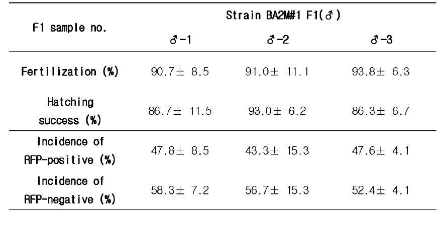 Strain BA2M#1 F1(♂) 의 F2 유전자 전달 빈도