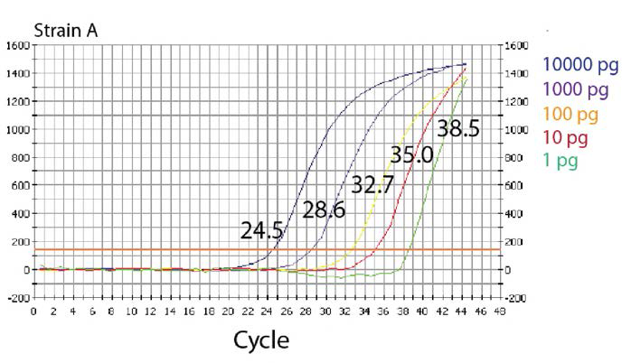 LM 어류 모델로부터 도입유전자의 real-time PCR 검줄 한계 및 민감도.