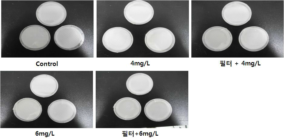 담수 복합처리 시스템 생물사멸효율 시험 Enterococcus 분석 사진