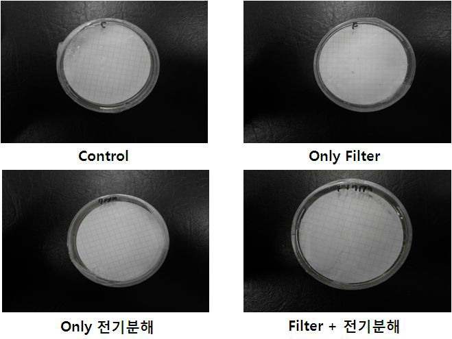 여름철 복합처리 시스템 생물사멸 효율 시험 관련 Enterococcus 결과(1차)