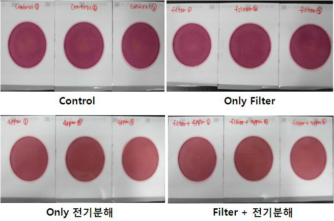 여름철 복합처리 시스템 생물사멸 효율 시험 관련 E-codi 결과(2차)