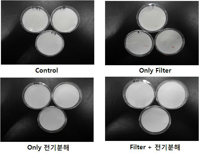 여름철 복합처리 시스템 생물사멸 효율 시험 관련 Enterococcus 결과(2차)