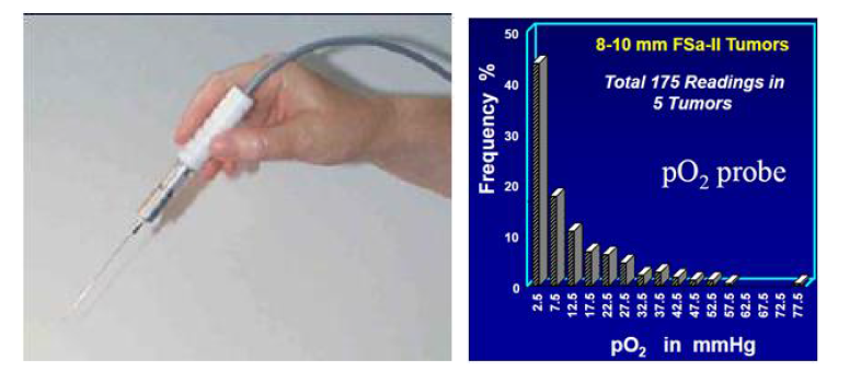 pO2 eppendorf probe