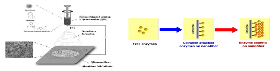 기능성 나노파이버 제조방법 및 표면 위의 효소 코팅방법