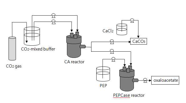 2-stage simultaneous production system