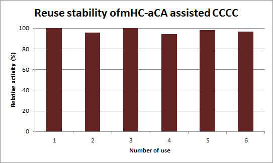 개량 CA(mHC-aCA)를 이용한 탄산칼슘 결정 복합체의 재사용 안정성 그래프