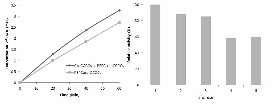 CA assisted CCCC와 PEPCase entrapped CCCCs의 연쇄반응 및 안정성 측정 그래프