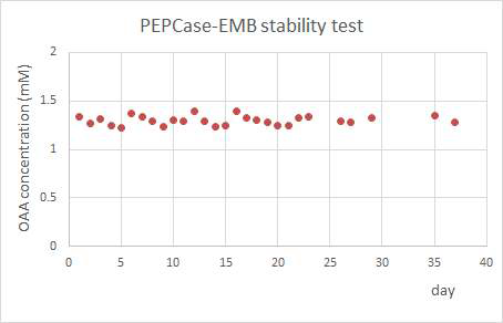 옥살로아세트산의 농도 측정을 통해 확인된 PEPCase-EMBs의 재사용 안정성