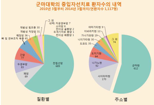 군마대학 중입자치료시설의 환자 수 내역