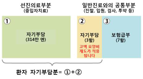 군마대학 중입자치료시설의 치료비용 환자부담분