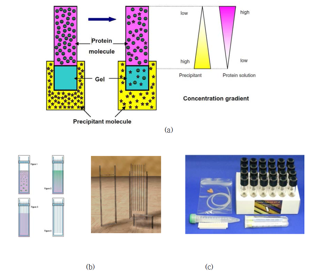 (a) counter diffusion method에 의한 단백질결정화 모식도 (b)Hampton research사의 Granada crystallization box (c) 일본 Confocal사의 C-tube Kit