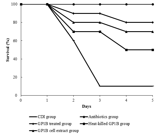 C. difficile 027에 감염된 마우스의 생존율