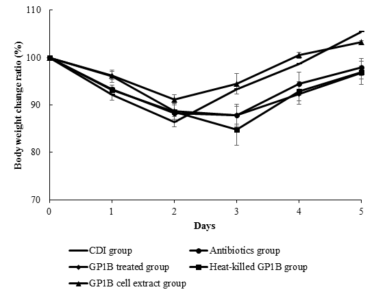 C. difficile 027 감염 후 GP1B 투여한 마우스의 체중 변화